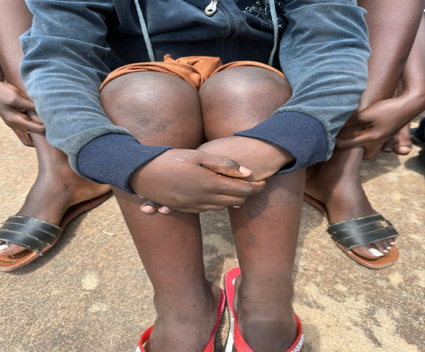 81b2ee16-2dbd-4ec7-9d17-faa08075fe25