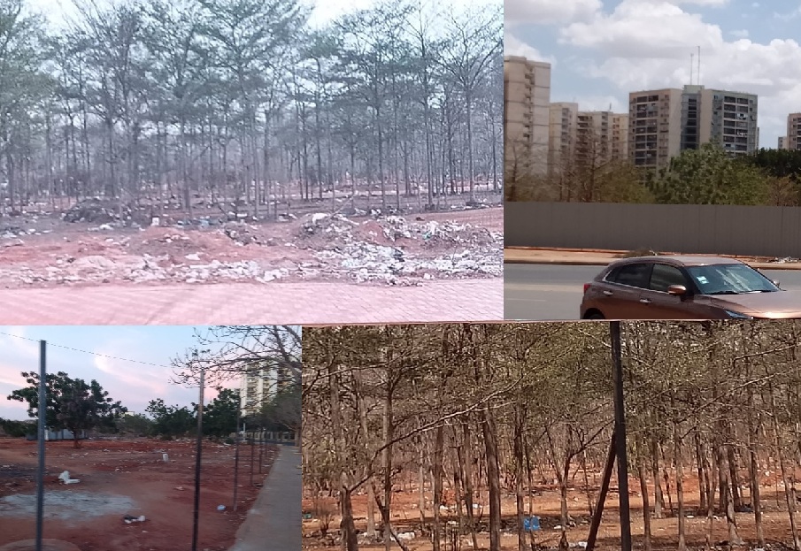 9581dda6-db39-4499-811a-6f4abca167fa